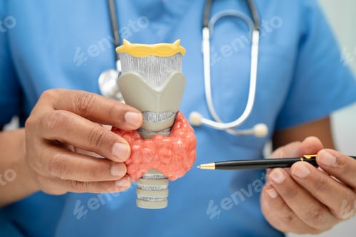 Preview: Hyperthyroidism, Overactive Thyroid, Thyroid Lymphoma,