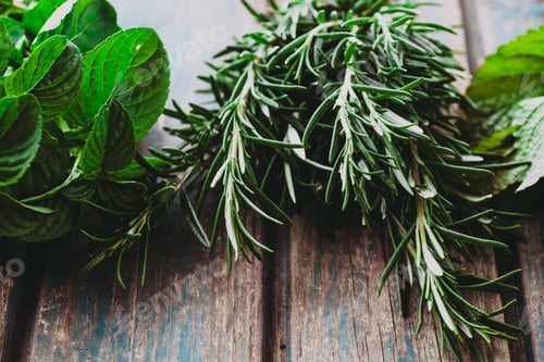 Preview: Fresh Herbs