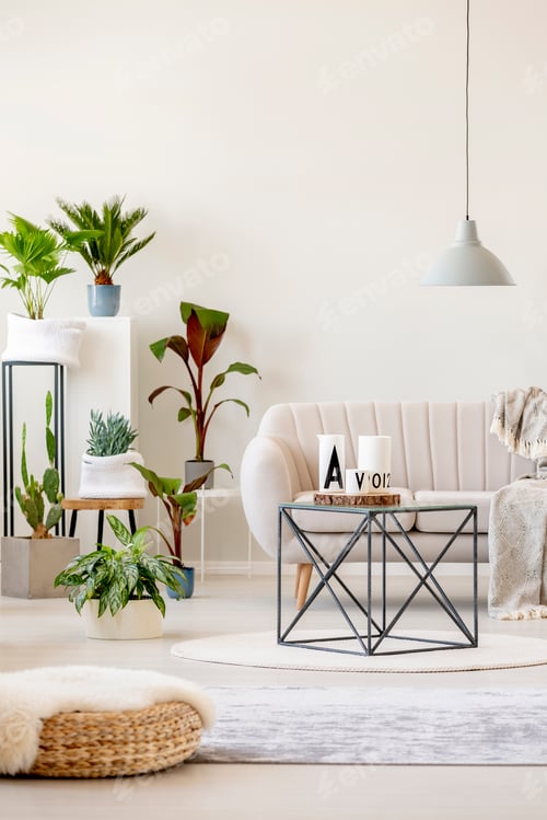 Preview: Real photo of a beige living room interior with a sofa standing