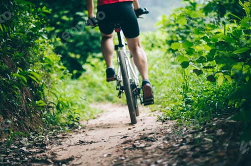 Preview: Cycling in the nature