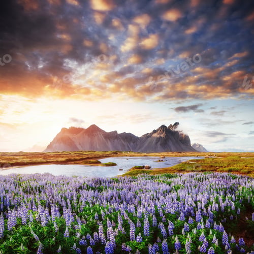 Preview: The picturesque landscapes of forests and mountains Iceland