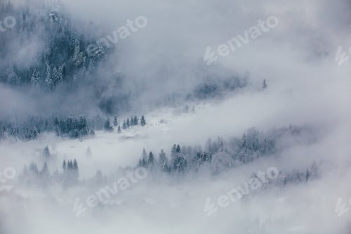 Preview: Winter postcard.