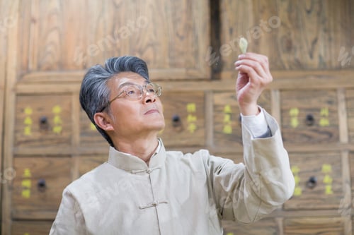 Preview: Senior Chinese doctor checking medicinal herbs