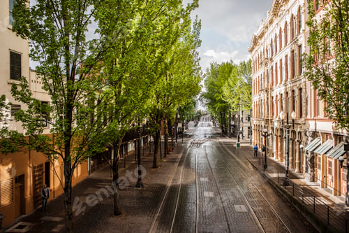 Preview: Empty tree-lined cobblestone street with tram lines, Portland, Oregon, US