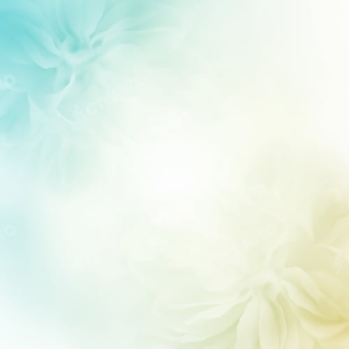 Preview: Sweet Color Roses In Soft Color And Blur Style For Background