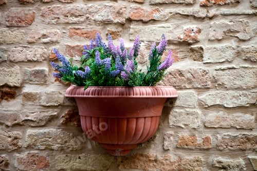 Preview: Flower pot with lavender plant on antique brick wall