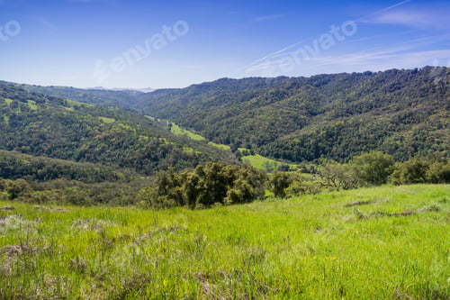 Preview: View towards Hunting Hollow valley, Henry Coe state park, California