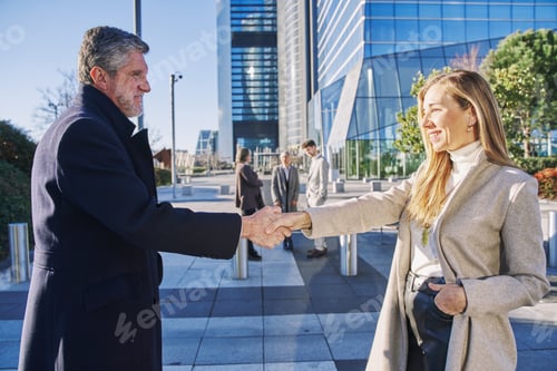 Preview: mature business couple closing a deal with a handshake with the rest of the group in the background.