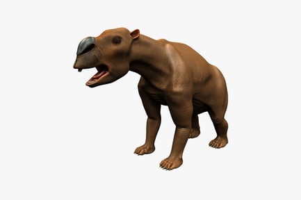 Preview: Brown bear with bared teeth