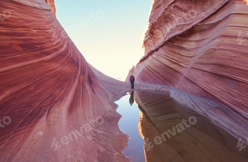 Preview: The Wave