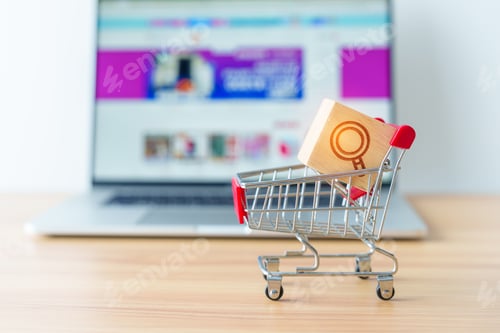 Preview: Shopping cart with Magnifying icon block and laptop computer