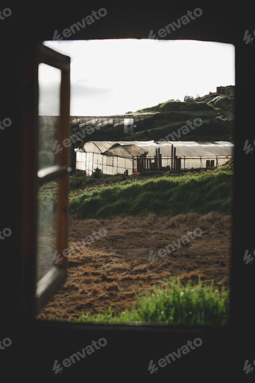 Preview: outdoors