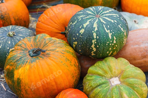 Preview: Stack, Pile Of Colorful Autumn Pumpkins Of Various Shapes And Sizes, Seasonal Harvest Background