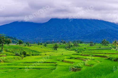Preview: beautiful morning view from Indonesia of mountains and tropical forest