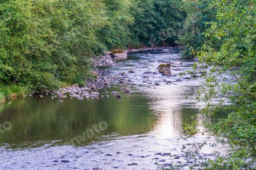 Preview: A View Of The Cedar River In Maple Valley, Washington. It Is Summer.