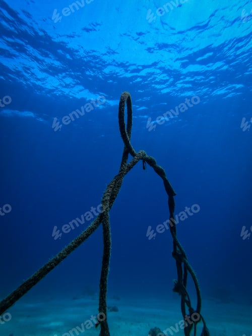 Preview: The Art of Dive