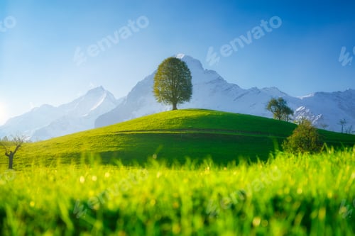 Preview: Fields and meadows. Mountain landscape. Dark sky. Natural landscape in summer time.