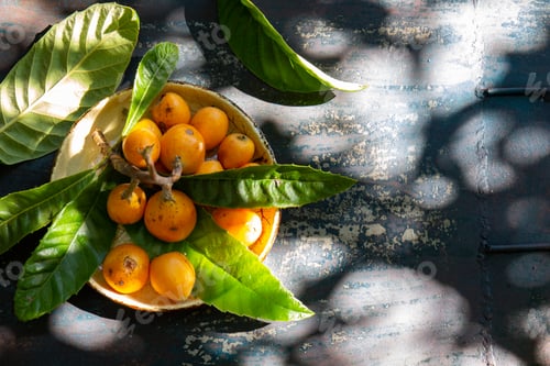 Preview: Loquat fruit. Nispero. Eriobotrya Japonica. Loquat with fresh leaves on metal background