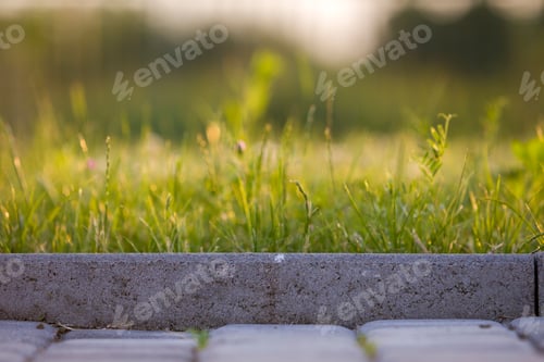 Preview: Closeup of pavement curb with green grass lawn behind.
