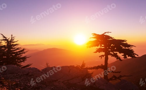 Preview: Lycian way