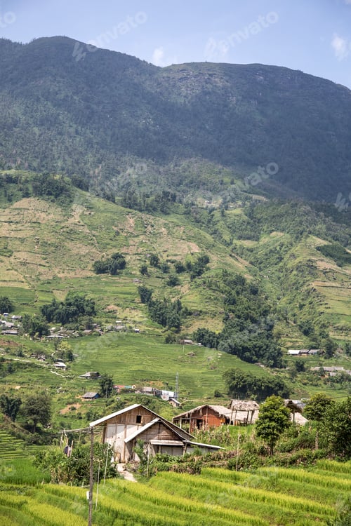 Preview: Giant rice paddies in Sapa above a village. Vietnam