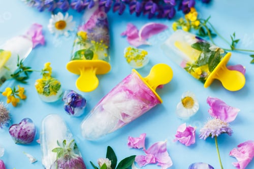 Preview: Floral Ice Pops. Hello summer concept. Frozen popsicles and ice cubes