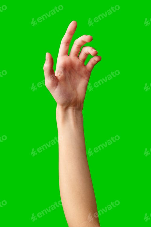 Preview: Hand Reaching Up on Green Background