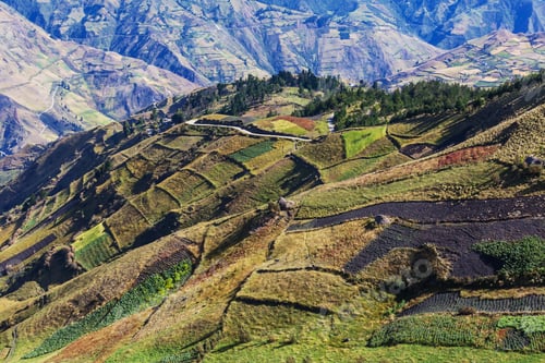 Preview: Rural landscapes in Ecuador