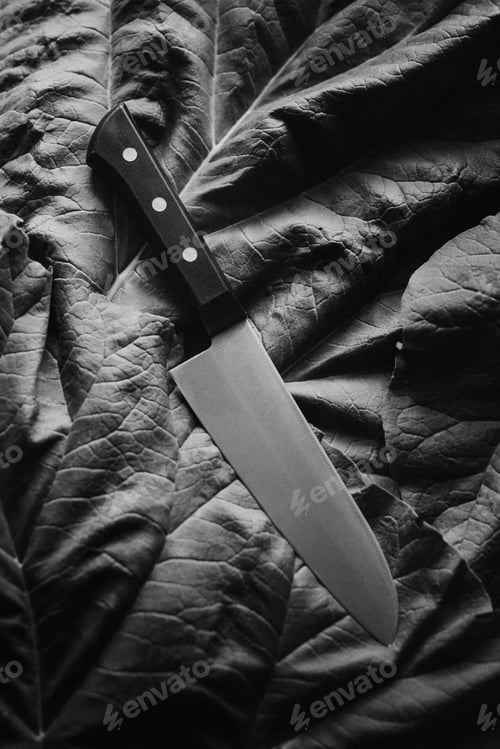Preview: BW chef's knife on a fresh vegetable flatlay