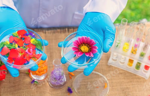 Preview: Flowers and test tubes for perfume making. Selective focus.