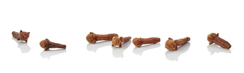 Preview: dried cloves macro