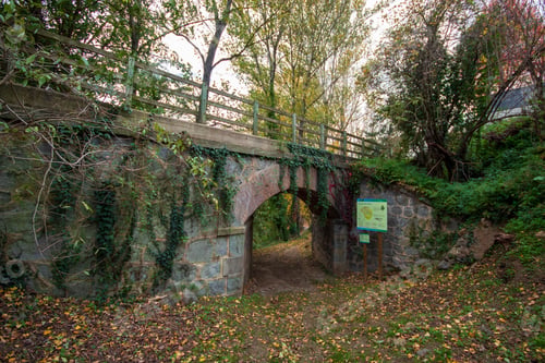 Preview: Stone bridge adorned with lush greenery in the form of creeping vines