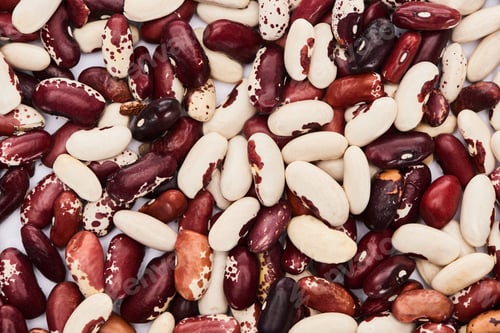 Preview: Top View of Mix of Organic Beans