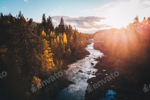 Preview: Beautiful landscape of a river flowing in a dense fir forest on the sunrise
