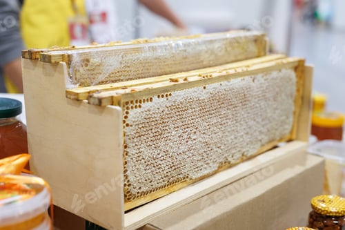 Preview: Sale of useful organic honey from Honey in honeycombs with antibacterial, antifungal, antiviral prop