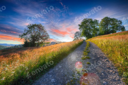 Preview: Majestic countryside landscape with forested hills and grassy meadows in mountains