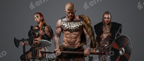 Preview: Fierce vikings with armor and axes isolated on gray
