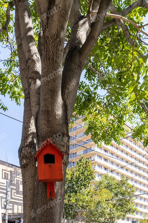 Preview: red wooden birdhouse on big tree in Yerevan city