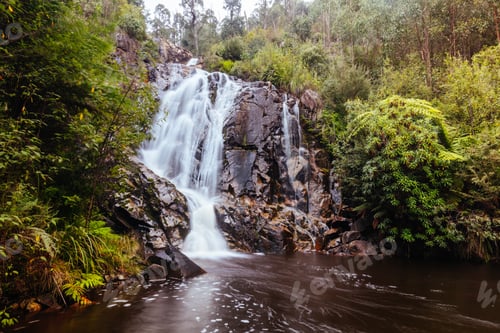 Vorschau: Steavenson Falls in Marysville, Australien