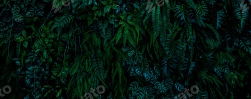 Preview: Herb wall, plant wall, natural green wallpaper and background. nature wall.