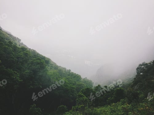 Preview: Forest in clouds