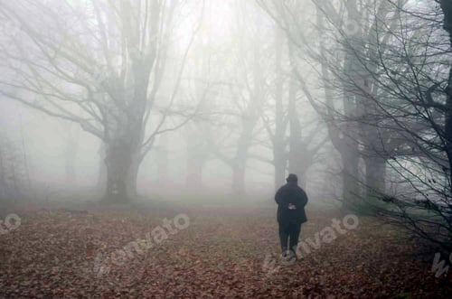 Preview: A foggy walk with a friend up a leafy woodland hill in rural France, in early winter.