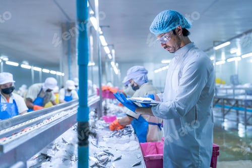 Preview: Workers in a food processing plant wearing protective gear, sorting fish on a conveyor