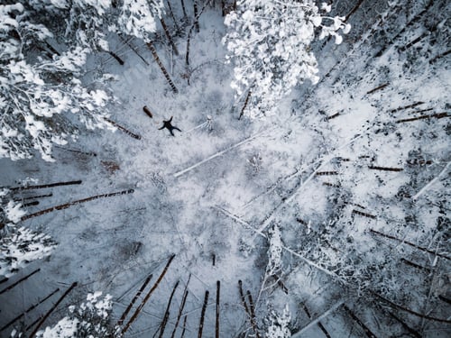 Preview: Man with Dog Funny Scene in Winter Forest. Snow Covered Spruce Trees. Aeriar Drone Top Down View