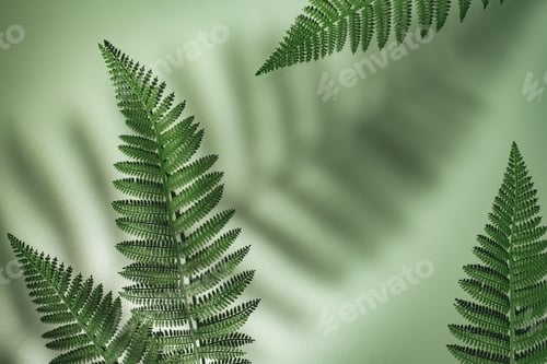 Preview: Tropical summer background