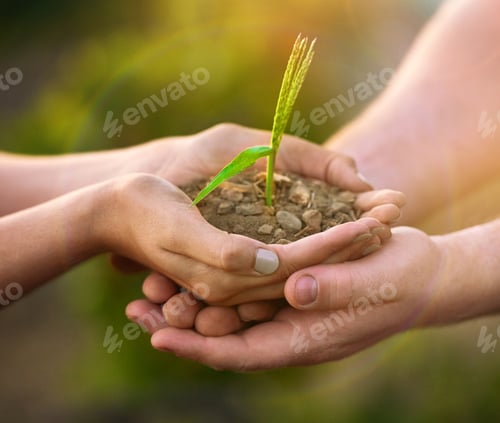 Preview: Shot of two unidentifiable people holding a small seedling in their hands while standing outside