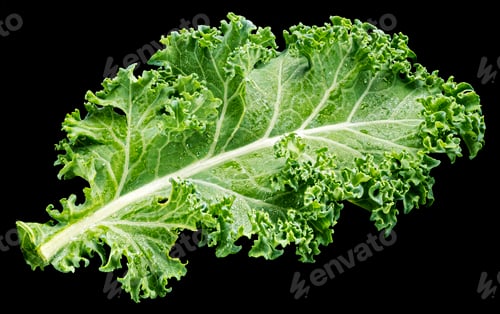 Preview: Kale salad leaf isolated on black background, top view