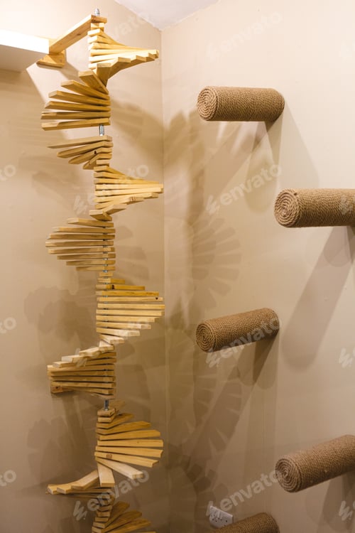 Preview: Cat Climbing Areas