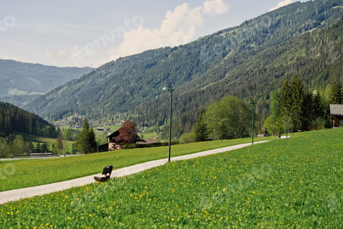 Preview: Alpine path and meadow at Untertauern, Austria.