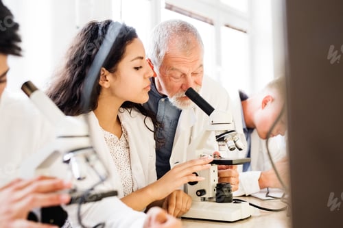 Preview: Senior teacher teaching biology to high school student in labor